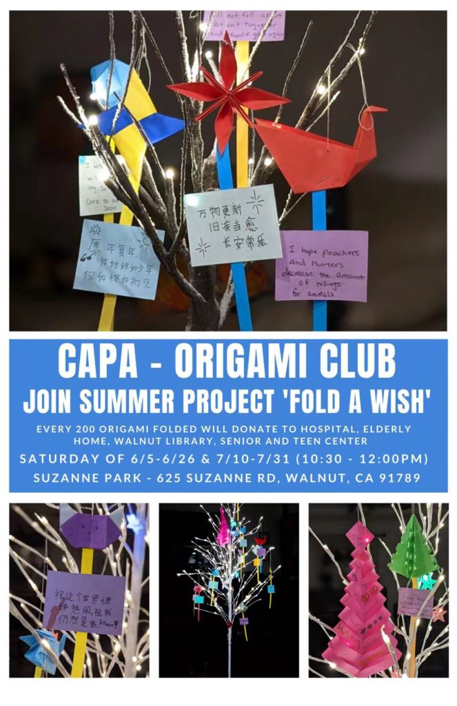 Origami Club